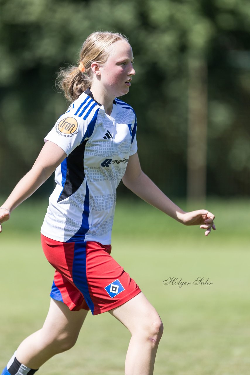 Bild 309 - wBJ Hamburger SV - VfL Wolfsburg : Ergebnis: 5:1